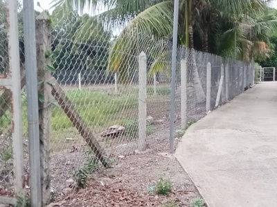 Đất Vườn có Thổ Cư, Xã An Sơn 32 , TP Thuận An , Bình Dương ĐT 500m 1