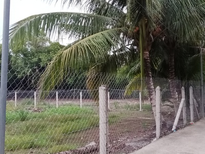 Đất Vườn có Thổ Cư, Xã An Sơn 32 , TP Thuận An , Bình Dương ĐT 500m 0