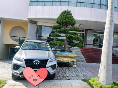 Tour cần thơ miền tây-Báo giá tour du lịch giá rẻ 2