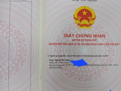 Đèn chùm treo Trần Đức đẹp 2678