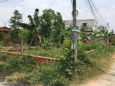 Bán đồng hồ roamer,candino used 63