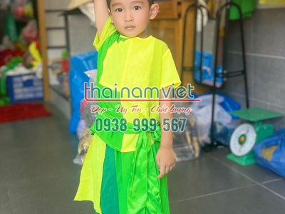 Cho thuê trang phục biểu diễn trẻ em người lớn tajai tphcm 17