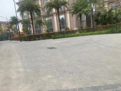 Bán đồng hồ roamer,candino used 977