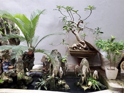 Bán đồng hồ roamer,candino used 1002