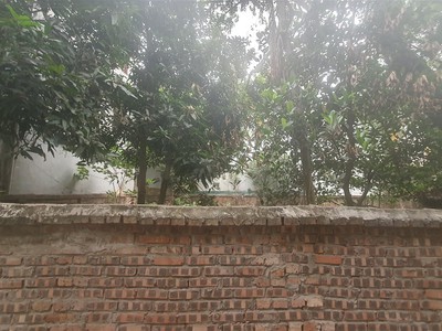 Bán đồng hồ roamer,candino used 735