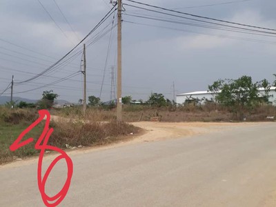 Bán đồng hồ roamer,candino used 521