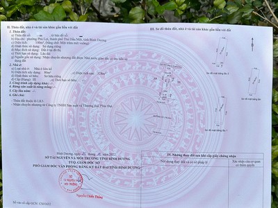 Chính chủ bán nhà xây mới đường chính khu đô thị phúc đạt tp. thủ dầu một, bình dương 3