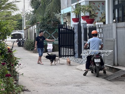Bán đồng hồ roamer,candino used 812