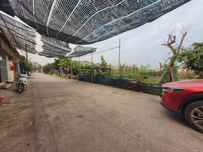 Bán đồng hồ roamer và candino 528