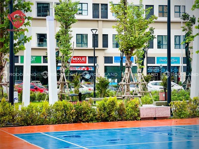 Bán đồng hồ roamer và candino 328
