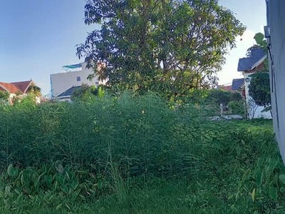 Chính chủ cần bán gấp trong ngày lô đất tại xã minh tân, huyện kiến thụy, thành phố hải phòng 0