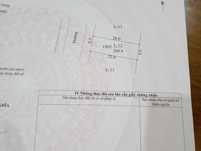 Bán đồng hồ roamer và candino 798