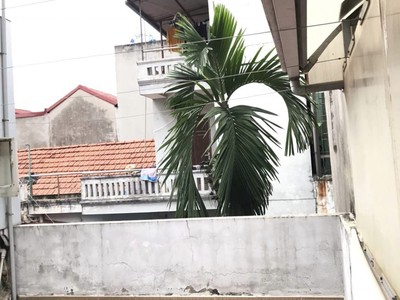 Bán đồng hồ roamer và candino 1708