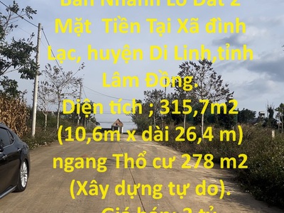 Bán đồng hồ roamer và candino 1397