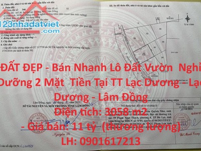 Bán đồng hồ roamer và candino 1751