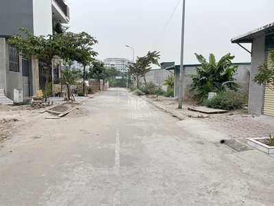 Cần bán 115m2 đất TĐC Trâu Quỳ - Mặt tiền to - Giá tốt so với khu vực 0