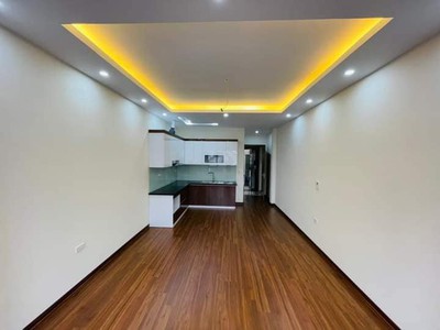 Chính chủ cho thuê căn hộ 2N1K tại phố chùa láng 569