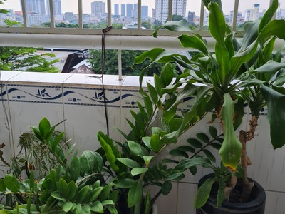 Cho thuê căn hộ chung cư tân hưng 2pn, full nội thất phường tân hưng, quận 7 3