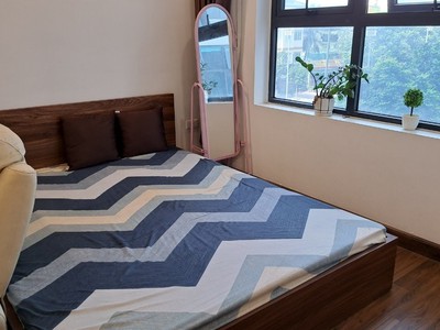 Chính chủ cho thuê căn hộ 2N1K tại phố chùa láng 1056