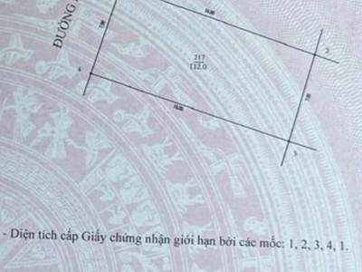 Chính chủ cho thuê căn hộ 2N1K tại phố chùa láng 1562