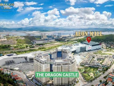 Chính chủ cho thuê căn hộ 2N1K tại phố chùa láng 1017