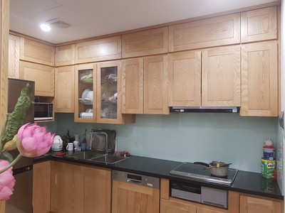 Chính chủ cho thuê căn hộ 2N1K tại phố chùa láng 1066