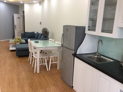Chính chủ cho thuê căn hộ 2N1K tại phố chùa láng 1064