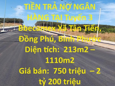 Chính chủ cho thuê căn hộ 2N1K tại phố chùa láng 400
