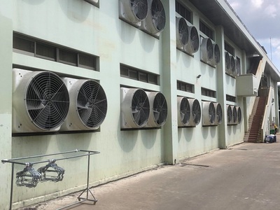 Chính chủ cho thuê căn hộ 2N1K tại phố chùa láng 423