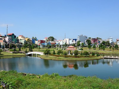 Chính chủ cho thuê căn hộ 2N1K tại phố chùa láng 1177
