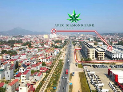 Chính chủ cho thuê căn hộ 2N1K tại phố chùa láng 1842