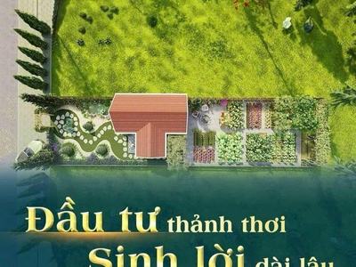 Chính chủ cho thuê căn hộ 2N1K tại phố chùa láng 2405