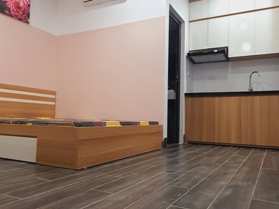 Chính chủ cho thuê căn hộ 2N1K tại phố chùa láng 2696