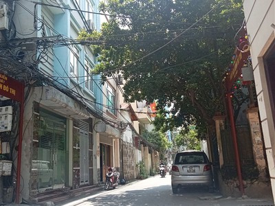 Chính chủ cho thuê căn hộ 2N1K tại phố chùa láng 2114