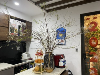 Chính chủ cho thuê căn hộ 2N1K tại phố chùa láng 2681