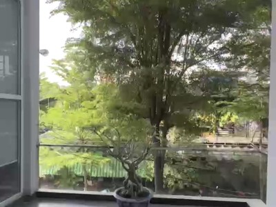 Nhà phố đà nẵng, bán nhà 3 tầng 2mt đường thành thái - nguyễn lai, cẩm lệ, đà nẵng 2