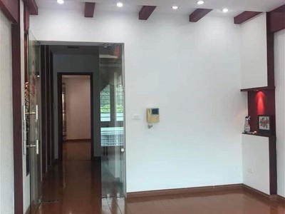 Chính chủ cho thuê căn hộ 2N1K tại phố chùa láng 2859