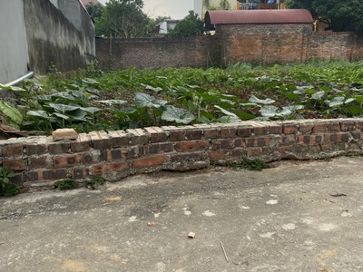 Cắt lỗ sâu 90,8m thôn tuyền,đông xuân,sóc sơn,hà nội.ô tô 7 chỗ vào tận đất. -diện tích:90,8m2 mặt 4