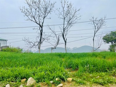 Chính chủ cho thuê căn hộ 2N1K tại phố chùa láng 2250