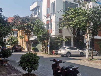 Đất lô góc ô cách, việt hưng, đường rộng oto tránh, diện tích: 102m, mặt tiền: 12m, 13 tỷ 0