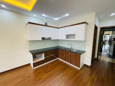 Chính chủ cho thuê căn hộ 2N1K tại phố chùa láng 3529