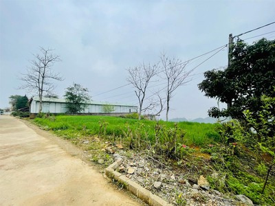 Chính chủ cho thuê căn hộ 2N1K tại phố chùa láng 3804