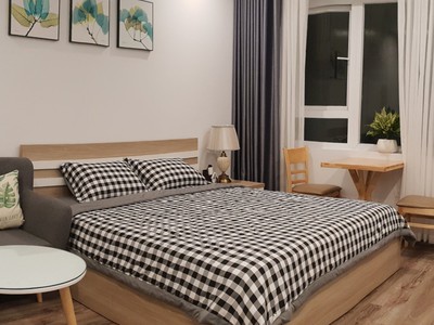 Sang tháng 2 e trống căn hộ 1 ngủ tại waterfront city phường vĩnh niệm, quận lê chân, hải phòng 1