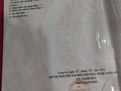 Chính chủ cho thuê căn hộ 2N1K tại phố chùa láng 3972