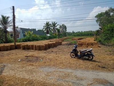 Chính chủ cho thuê căn hộ 2N1K tại phố chùa láng 3930