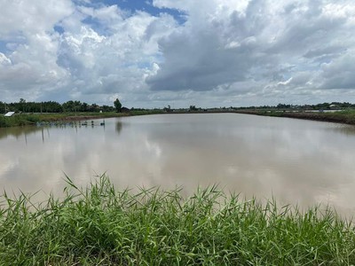 Chính chủ cho thuê căn hộ 2N1K tại phố chùa láng 4595
