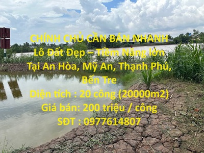 Chính chủ cho thuê căn hộ 2N1K tại phố chùa láng 4592
