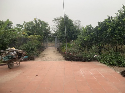 Chính chủ cho thuê căn hộ 2N1K tại phố chùa láng 6176