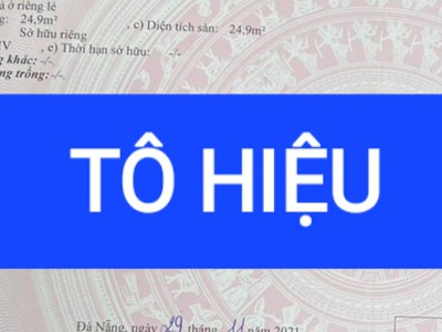 Chính chủ cho thuê căn hộ 2N1K tại phố chùa láng 5692