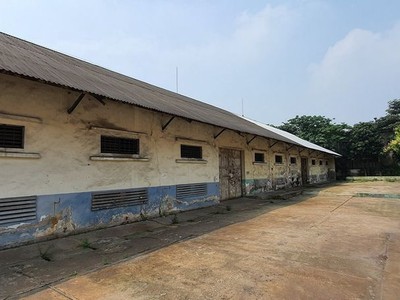 Bán đất nhà xưởng dt 3ha tại cụm cn tân quang, văn lâm, hưng yên. lô góc 2 mt 1